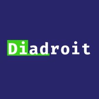 Diadroit logo - Similar company to Underland Cloud