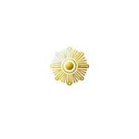 Inti Risk logo - Similar company to Solacfin