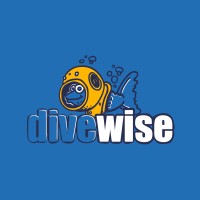 Divewise Malta logo - Similar company to Techwise Malta