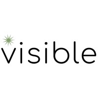 Thisisvisible logo - Similar company to Deveez