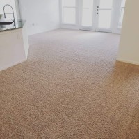 Absolute Carpet & Tile logo - Similar company to Global Catastrophe Training