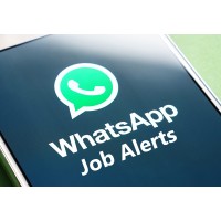 Jobs - Data Analyst | Business Analyst | WhatsApp 91-6232667387 logo - Similar company to Data Science Hiring