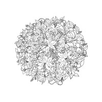Camevexe logo - Similar company to Artchitecture