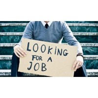 Looking For A Job logo - Similar company to Looking For A Job!