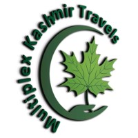 Multiplex Kashmir Travels logo - Similar company to The Holiday Creators Pvt. Ltd.