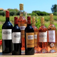 Domaines Bunan logo - Similar company to Domaines De Chabran
