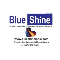 Blue Shine logo - Similar company to Beyond Extremes