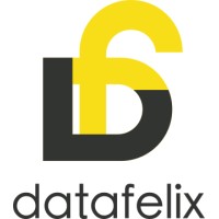 Data Felix logo - Similar company to Data Doctors