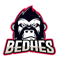 Bedhes Clothing logo - Similar company to 5060 Clothing By Machine56
