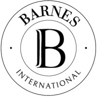 Barnes Israel logo - Similar company to Anan