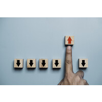 Ponto fora da curva logo - Similar company to Ponto Fora Da Curva