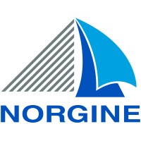 Norgine UK & Ireland logo - Similar company to Norgine
