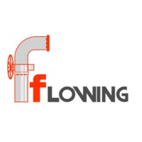 Fflowing México logo - Similar company to Frisa Aerospace S.A. De C.V.