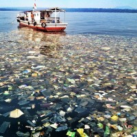 Plastic Fishery logo - Similar company to Plastic Fisher