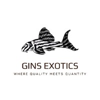 Gins Exotics logo - Similar company to Agape Tile Llc