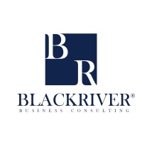 BLACKRIVER Consulting logo - Similar company to Octalia