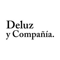 Deluz y Compañía logo - Similar company to Gunsaulus, The Power Of Will