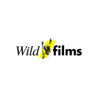 WildFilms logo - Similar company to Klimek Klimek