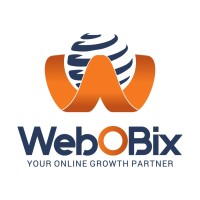Webobix Technologies Private Limited logo - Similar company to Pacewalk
