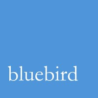 Bluebird Capital Partners