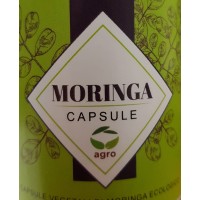 Moringa Oleifera Italia logo - Similar company to Moringa Oleifera
