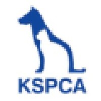 KSPCA logo - Similar company to Stanford Splash