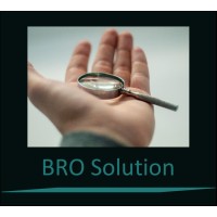 BRO Solution logo - Similar company to Brosols