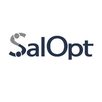 SalOpt GmbH logo - Similar company to Cplace_Design To Connect