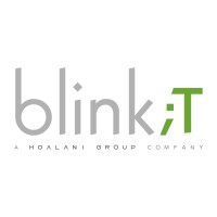 blink-iT Solutions logo - Similar company to Blink It Solutions