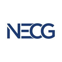 The New England Computer Group logo - Similar company to New England Computer Solutions