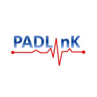 PADLinK NetworK logo - Similar company to Padlink