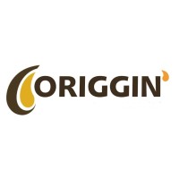 Origgin Brasil logo - Similar company to Senhor Express
