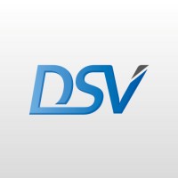 DSV Consulting logo - Similar company to Dsv Partners