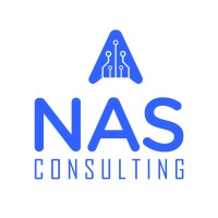NAS Consulting logo - Similar company to Dubi