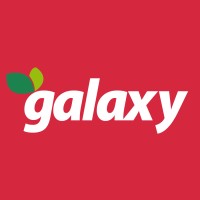 Galaxy - Mavidou & Sons OE logo - Similar company to Spectra Lab, Auth