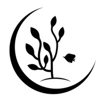 Coral Reef & Rainforest Conservation Project logo - Similar company to Darmal Vector Connect