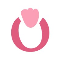 Studio Adora logo - Similar company to Aerio