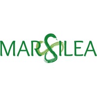Marsilea logo - Similar company to Assista-Projects Gmbh