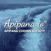 Apipana.io logo - Similar company to Nucleoo