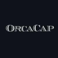 OrcaCap logo - Similar company to Moby Capital