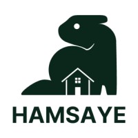Hamsaye logo - Similar company to Cloudyai