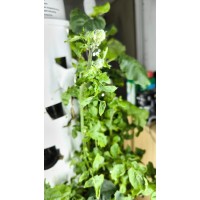 MetaFarm