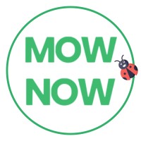 MOW NOW logo - Similar company to Lacklands