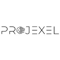 Projexel logo - Similar company to Techno Alliance Global