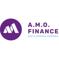 AMO FINANCE logo - Similar company to Weva Agency