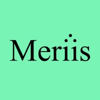 MERIIS logo - Similar company to Intedo