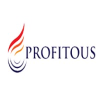 Profitous Capital Markets Pvt Ltd logo - Similar company to Rikhav Securities Ltd
