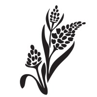 KSB Build logo - Similar company to Magic Silk