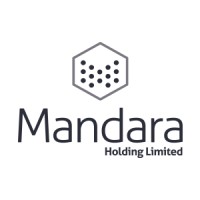 Mandara Holding Ltd. logo - Similar company to Mjf Holding