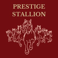 Prestige Stallion VCC logo - Similar company to Timefolio Asset Management